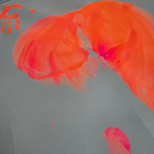Load image into Gallery viewer, Neon ass print